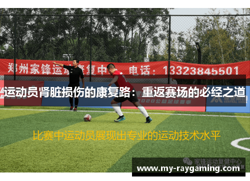 运动员肾脏损伤的康复路：重返赛场的必经之道
